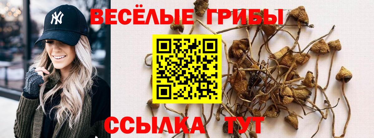 Псилоцибиновые грибы ЛСД  Галлюциногенные грибы прущие грибы  Саратов  Вход с VPN 